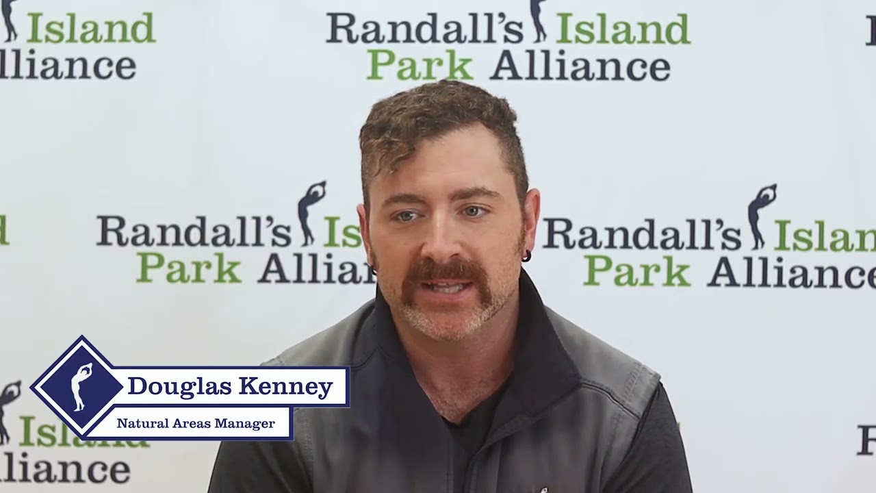 2025 Randall's Island Park Alliance Campaign