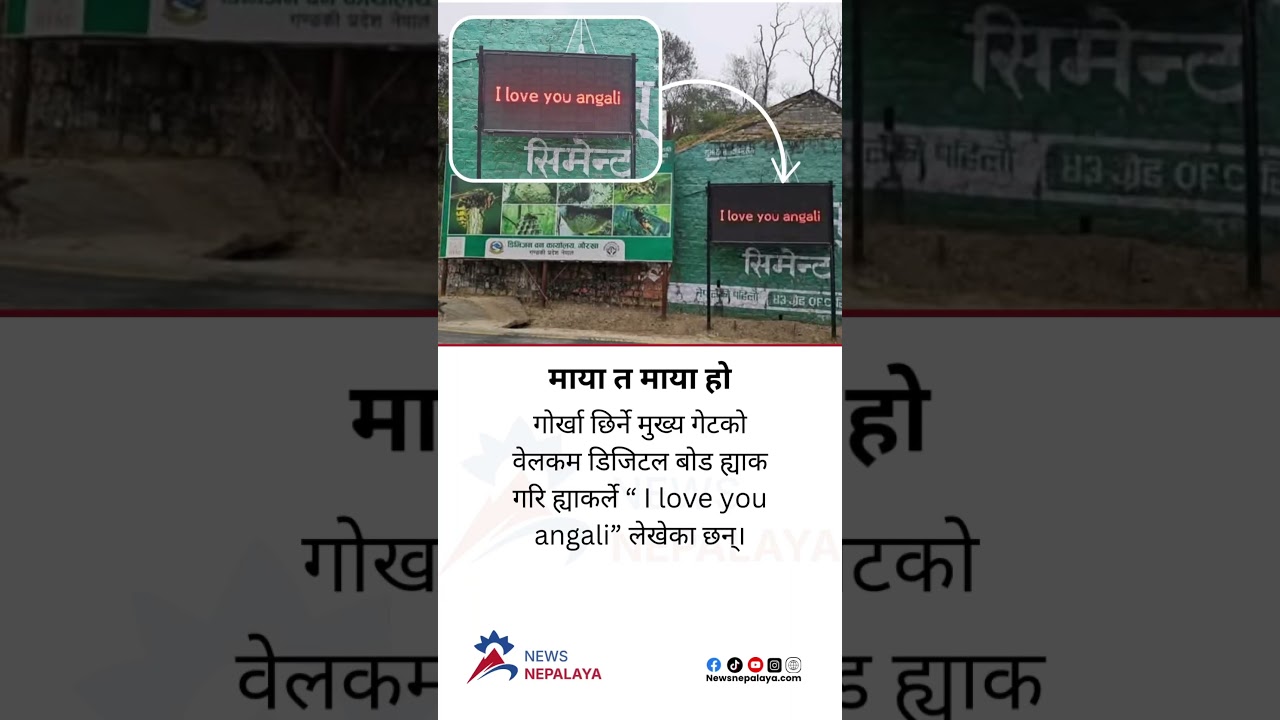 Anyone Else Couldn39t Have Done This - YouTube Auto PHP Script