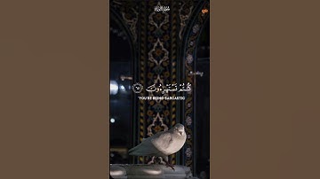 ﴿ ولئن سألتهم ليقولن إنما كنا نخوض ونلعب قل أبالله وآياته ورسوله كنتم تستهزئون ﴾ [ التوبة: 65]. ا