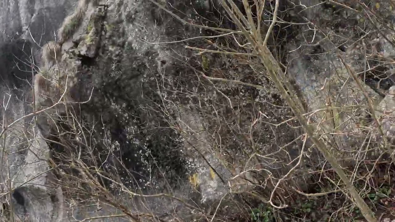 Cheile Corcoaia - Domogled - monument al naturii - Munții Retezat 