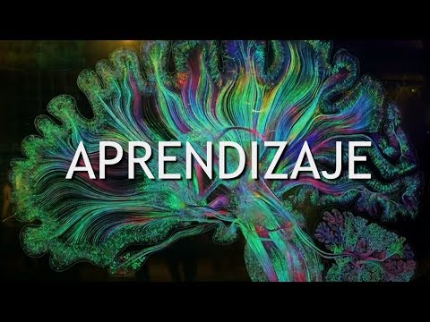 Video: ¿Qué son los algoritmos de aprendizaje supervisados y no supervisados?