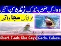 Shark Documentary Urdu Hindi Real Story Sachi Kahani