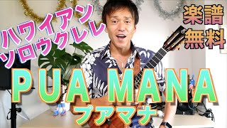 Video thumbnail of "【Lesson・TAB譜付】PUA MANA（プアマナ）解説付き　講師：HOOK"