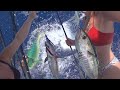 Catching MAHI & TUNA on the SQUID RIG! Catch and Cook