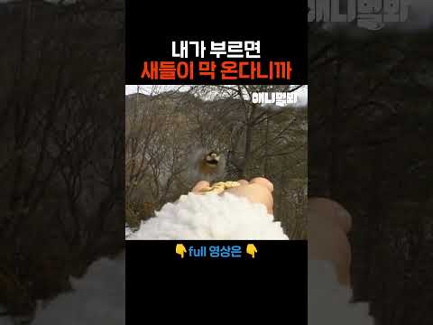오이데 산새들~ #애니멀봐 #shorts