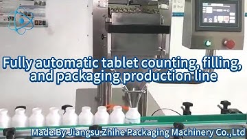 Fully Automatic Tablet Counting, Filling, and Packaging Production Line