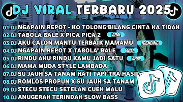 DJ TIKTOK TERBARU 2025🎵DJ NGAPAIN REPOT-KO TOLONG BILANG CINTA KA TIDAK🎵DJ TABOLA BALE X PICA PICA 2