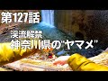 【渓流解禁2021年3月】神奈川県の"ヤマメ(山女)"を求めて〜ツキノワグマに気をつけて編〜（#釣れない釣り動画127）