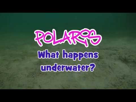 Crazy Fish Polaris video