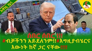 Alemneh Wasse #ብቻችንን አይደለንም!!#እግዚያብሄርናእውነት ከኛ ጋር ናቸው!!!!