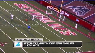 2014 People's Choice #AEWSOC Save of the Year