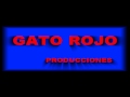 3D GATO ROJO2