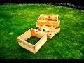 How To Grow Potatoes - Wranglerstar How To Grow Potatoes - Wranglerstar