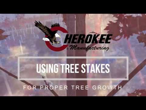 Installing Fiberglass Tree Stakes