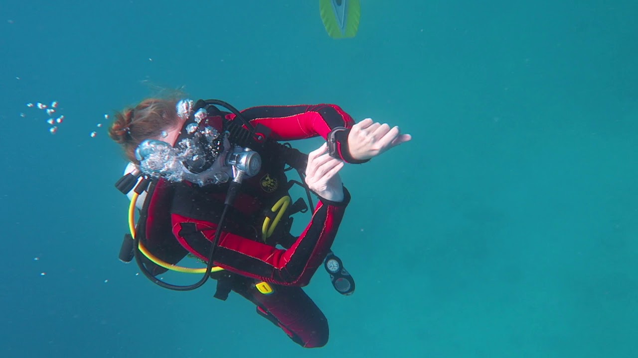 León Marino Diving Center
