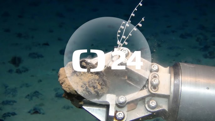Neptunova Rostlina: Tajemství Hlubin Oceánu () Neptunova Rostlina: Tajemství Hlubin Oceánu