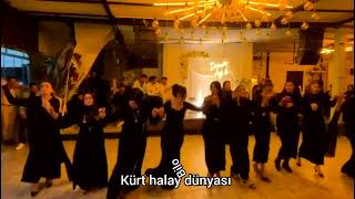 Bitlis perişvane oyunu bayanlardan izleyin