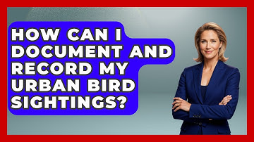How Can I Document and Record My Urban Bird Sightings? | Bird Watching Diaries