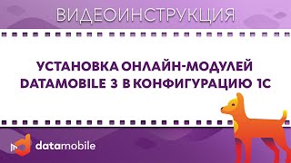 : DataMobile 3:  - DataMobile   1