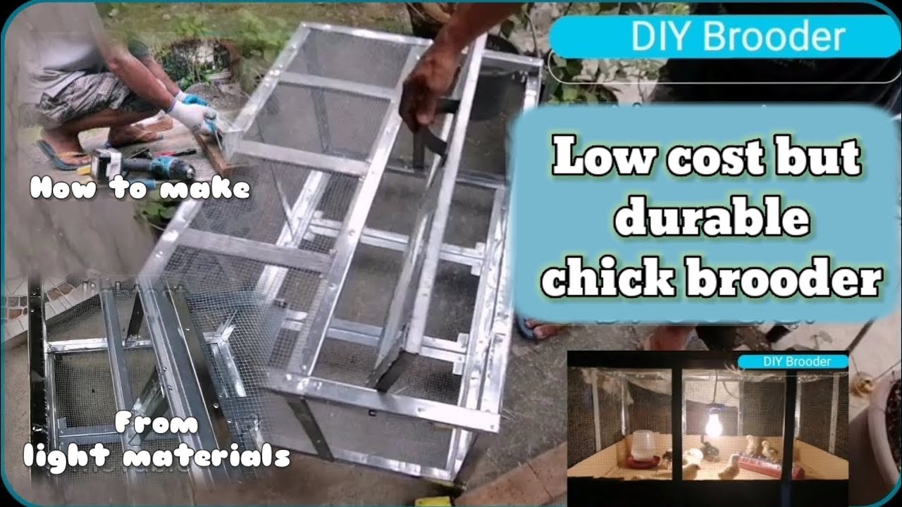low cost but durable chick brooder /how to make/from light materials ...