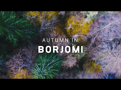 Autumn in Borjomi Forest / შემოდგომა ბორჯომის ტყეში