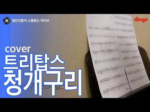[일소라] 일반인 최정인 - 청개구리 (트리탑스) cover