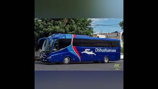 autobuses Chihuahuaenses