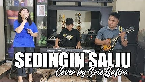 Elvy Sukaesih - Sedingin Salju || Cover by Srie Safira