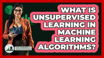 What Is Unsupervised Learning In Machine Learning Algorithms? - The Friendly Statistician