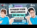 EVENT: Relacja z IV Parady Psów Wrocławskich "Hau are you?" 22.09.2022r. - Brit Polska