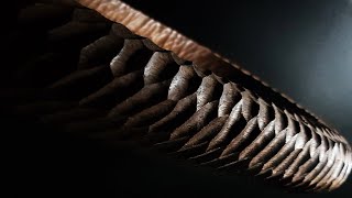 ON WOOD _ Making walnut plate with hand tools. / woodcarving. / 우드카빙 _ 월넛 접시