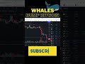 Whales Dump Bitcoin Below $45000