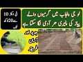 Onion nursery and jadeed farming information advanced farming techniques taj zari farm in pakistan