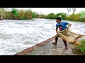 স্রোতে জাল ফেললেই শুধু মাছ আর মাছ - Traditional Catching Fish With A Cast Net @Suroma(Part-5)