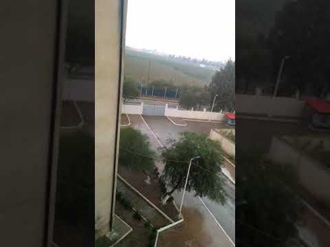 زغات مطر الخريف