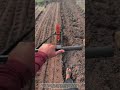 Revolutionizing Farming: Efficient Manual Multi-Row Seed Planter in Action!