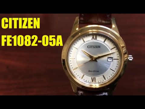 Citizen Women's FE1082-05A Stainless Steel Watch with Brown Band並行輸入品