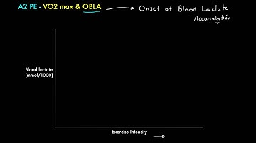 A2 PE - VO2max & OBLA Short