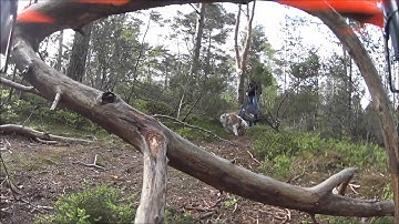 Multicopter forest flight with onboard cam ^_^