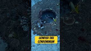 I had to go back down to clear out this tire. It was calling my name!