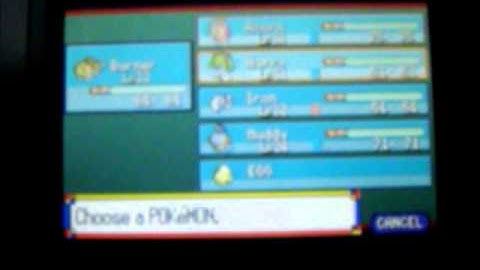 Pokemon Ruby Walkthrough Part 23: The 4th Gym