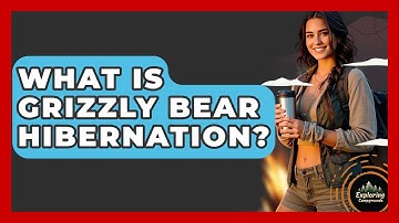 What Is Grizzly Bear Hibernation? - Exploring Campgrounds
