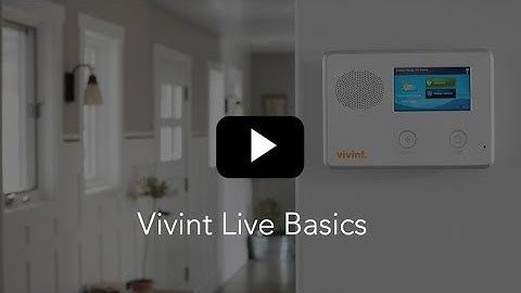 Vivint Live Basics