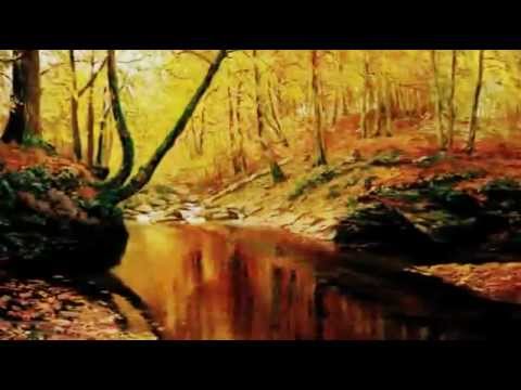 Didier Euzet - Golden Forest (601).
