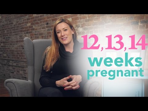 12,-13,-14-weeks-pregnant---ovia-pregnancy