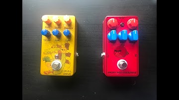 I built my first DIY pedals: Angly Charly and Friedman BE-OD clones