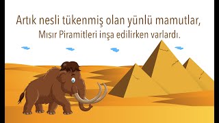 Bu İlgi̇nç Bi̇r Bi̇lgi̇ Mi̇ ? 2.Bölüm