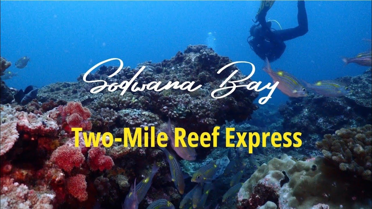 Sodwana Bay: Two-Mile Reef Express