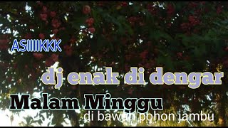 Malam Minggu Versi Dj Enak Didengar Asik Di Bawah Pohon Jambu