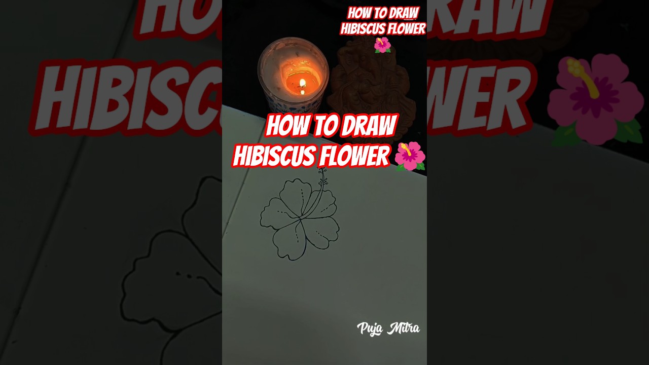 Relaxing Hibiscus Flower Drawing 🌺 | Simple Line Art | ASMR Sketch 